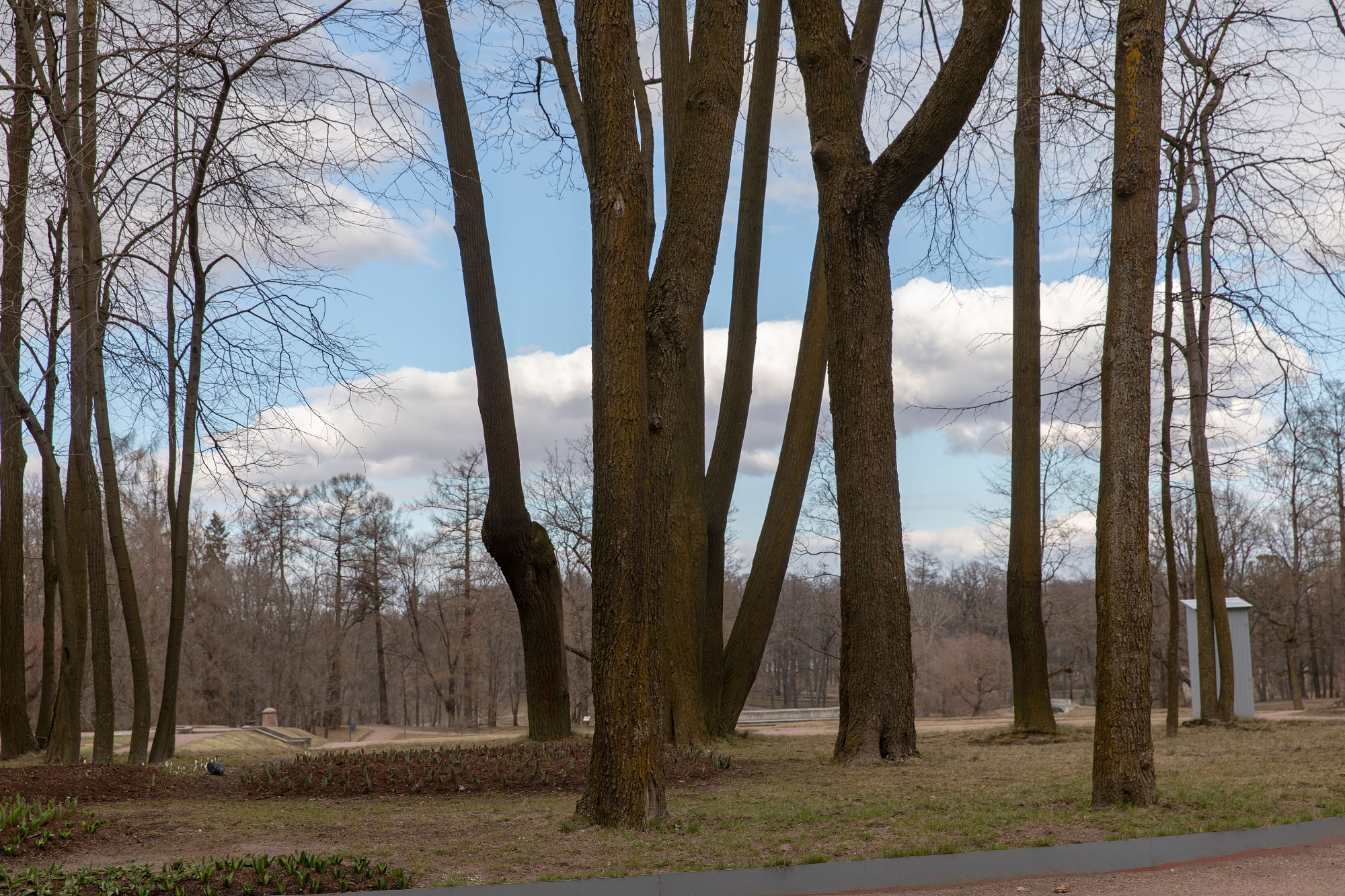 Gatchina (Гатчина)